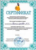 Сертификат "Профессиональный стандарт педагога", Январь 2018г. Сертификат "Профессиональный стандарт педагога", Январь 2018г.